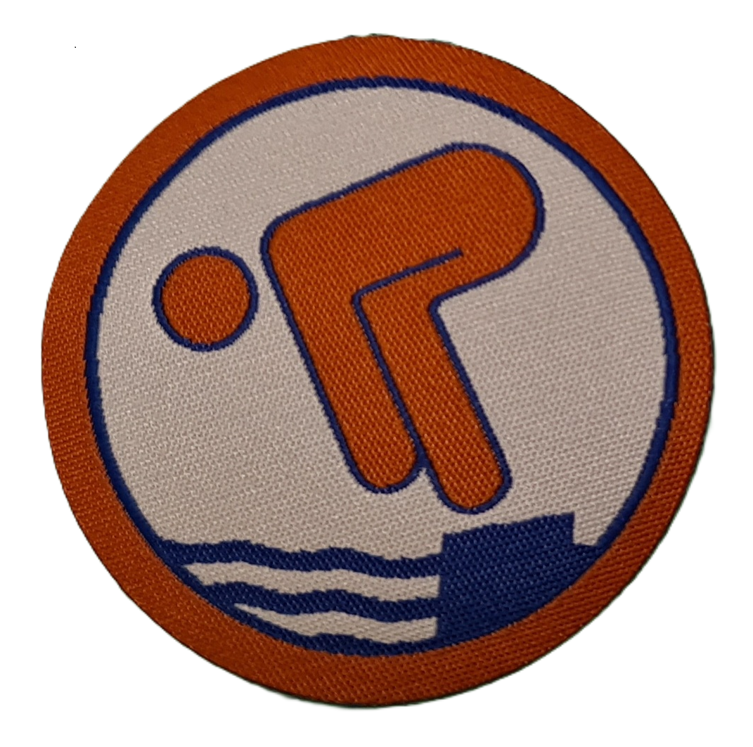 Schwimmabzeichen bronze